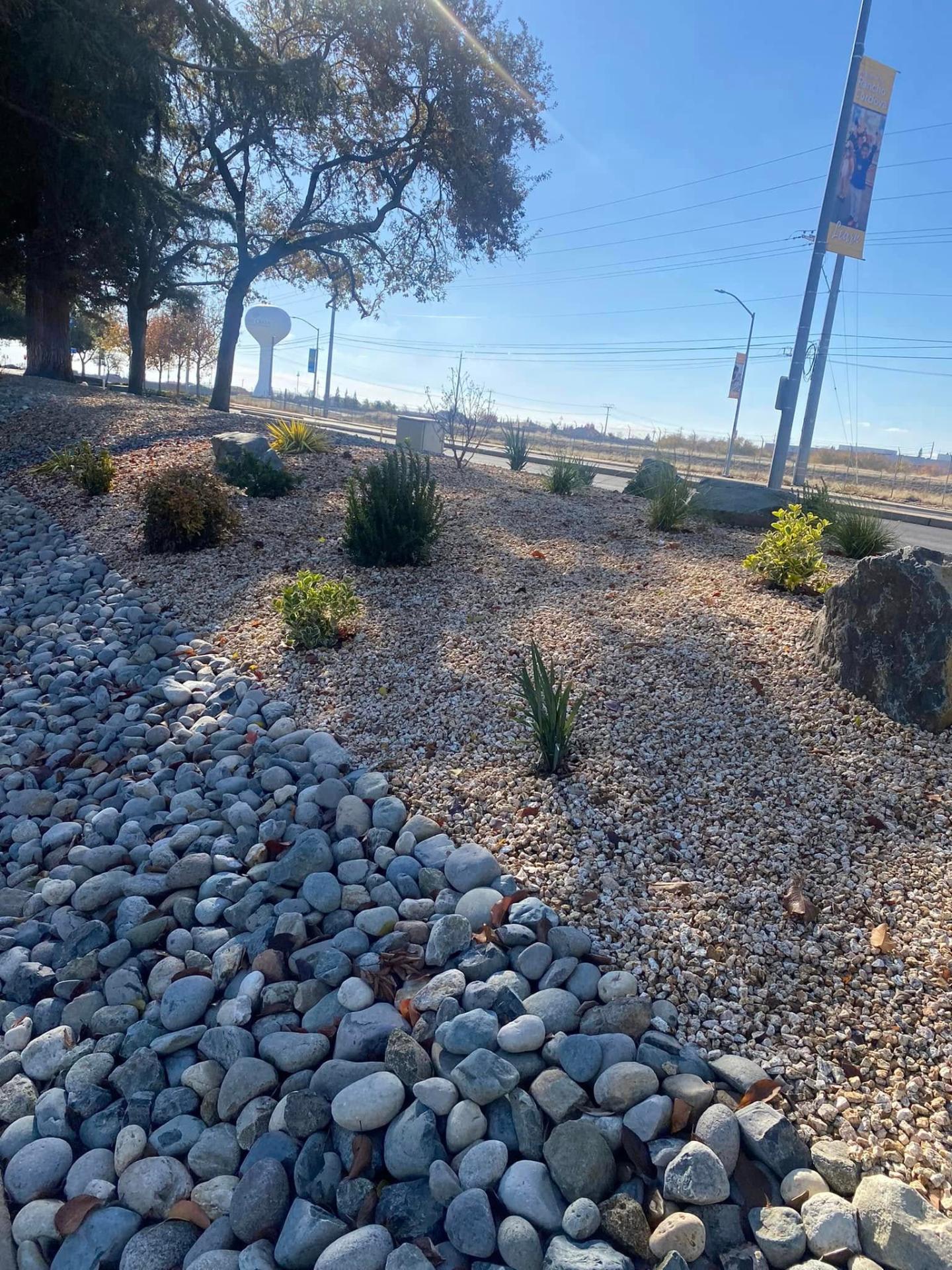 Rivas Landscaping | Professional Landscaping Services in Sacramento, CA